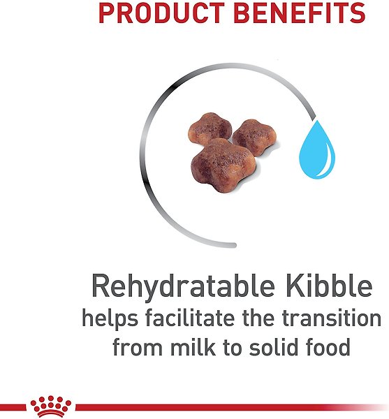 Show full view: Royal Canin Feline Health Nutrition Mother & Babycat Dry Cat Food, 1.37-kg bag slide 3 of 7