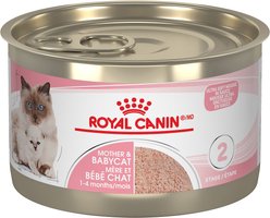 Royal Canin Feline Health Nutrition Mother & Babycat Ultra Soft Mousse Wet Canned Cat Food, 145-g can, case of 24