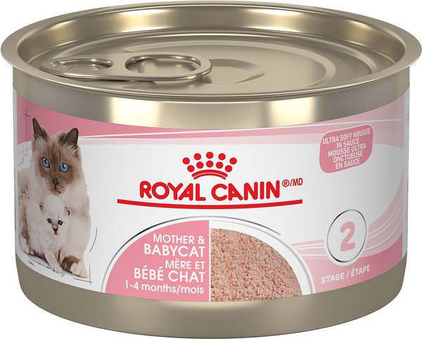 Royal Canin Feline Health Nutrition Mother & Babycat Ultra Soft Mousse Canned Cat Food, 145-g can, case of 24 slide 1 of 8
