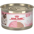 Royal Canin Feline Health Nutrition Mother & Babycat Ultra Soft Mousse Canned Cat Food, 145-g can, case of 24