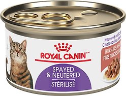 Royal Canin Feline Health Nutrition Spayed/Neutered Thin Slices In Gravy Wet Canned Cat Food, 85-g can, case of 24