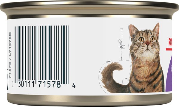 Show full view: Royal Canin Feline Health Nutrition Spayed/Neutered Thin Slices In Gravy Wet Canned Cat Food, 85-g can, case of 24 slide 3 of 5