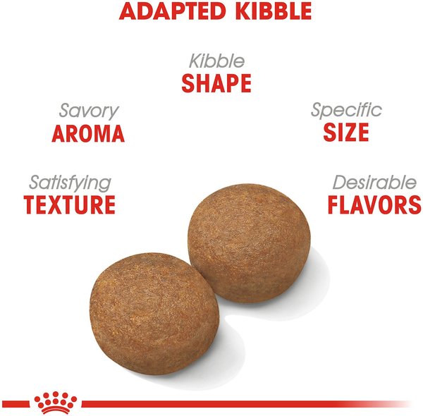 Show full view: Royal Canin Size Health Nutrition Large Adult Dry Dog Food, 13.61-kg bag slide 3 of 8