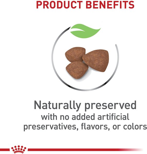 Show full view: Royal Canin Size Health Nutrition Small Puppy Dry Dog Food, 6.36-kg bag slide 4 of 9