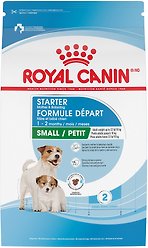 Royal Canin Size Health Nutrition Small Starter Mother & Babydog Dry Dog Food, 1.14-kg bag