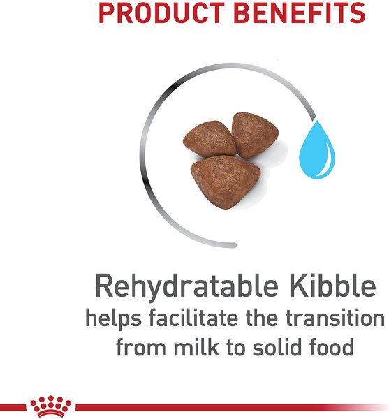 Show full view: Royal Canin Size Health Nutrition Small Starter Mother & Babydog Dry Dog Food, 1.14-kg bag slide 4 of 9