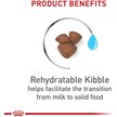 Show in main carousel: Royal Canin Size Health Nutrition Small Starter Mother & Babydog Dry Dog Food, 1.14-kg bag slide 4 of 9