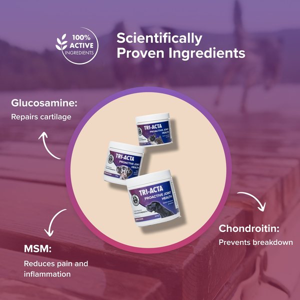 Show full view: Tri-Acta Regular Strength Powder Joint Supplement Small Dogs & Cats, 60-g jar slide 4 of 6