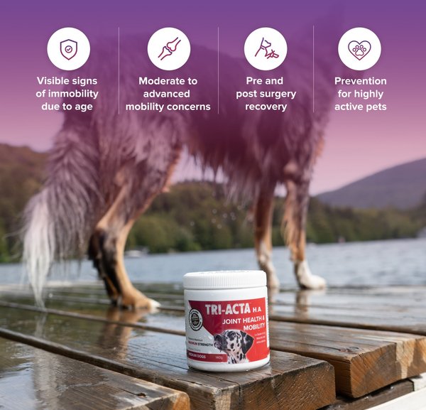 Show full view: Tri-Acta H.A. Maximum Strength Powder Joint Supplement for Small Dogs & Cats, 60-g jar slide 3 of 7