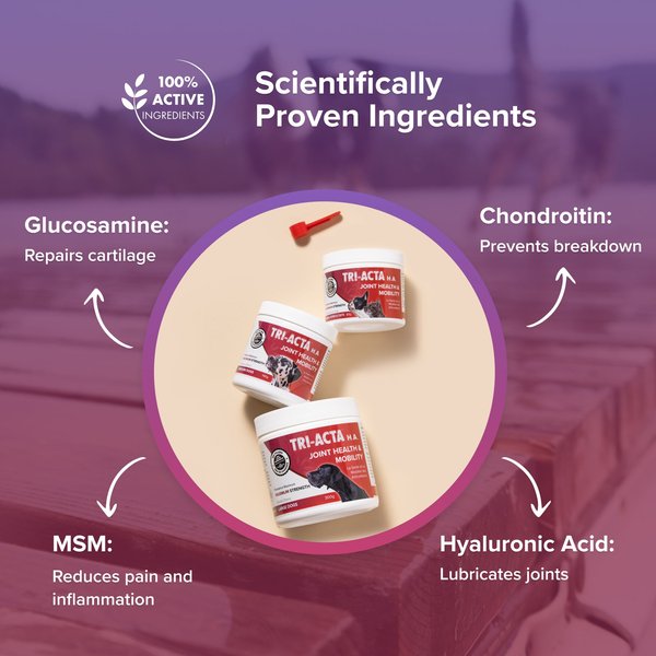 Show full view: Tri-Acta H.A. Maximum Strength Powder Joint Supplement for Small Dogs & Cats, 60-g jar slide 4 of 7