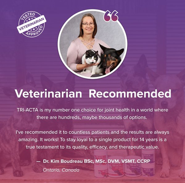 Show full view: Tri-Acta H.A. Maximum Strength Powder Joint Supplement for Medium Dogs, 140-g jar slide 5 of 7