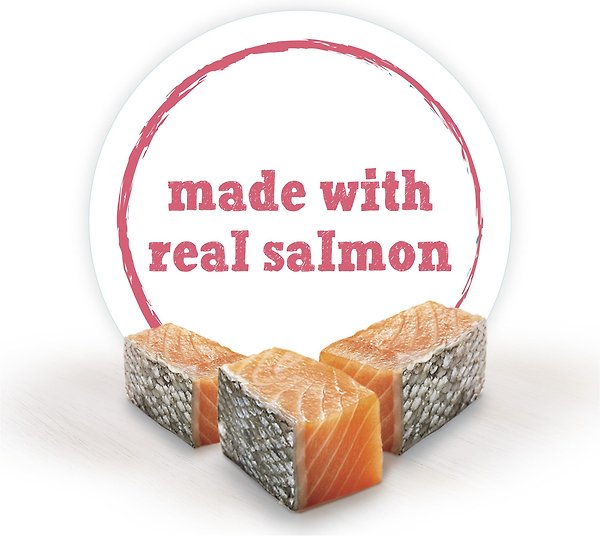 Show full view: Purina Beneful Incredibites Real Salmon in Gravy Wet Dog Food, 85-g can, case of 24 slide 3 of 9