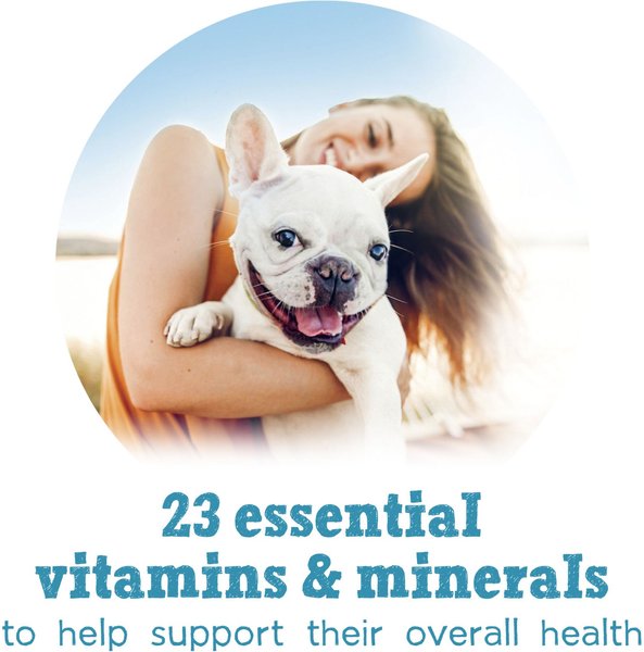 Show full view: Purina Beneful Incredibites Real Salmon in Gravy Wet Dog Food, 85-g can, case of 24 slide 5 of 9