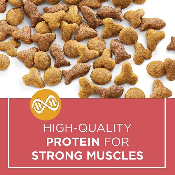 Show full view: Cat Chow Complete Real Salmon Dry Cat Food, 6.4-kg bag slide 8 of 9