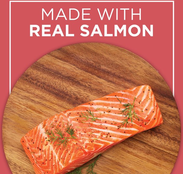 Show full view: Cat Chow Complete Real Salmon Dry Cat Food, 1.6-kg bag slide 4 of 9