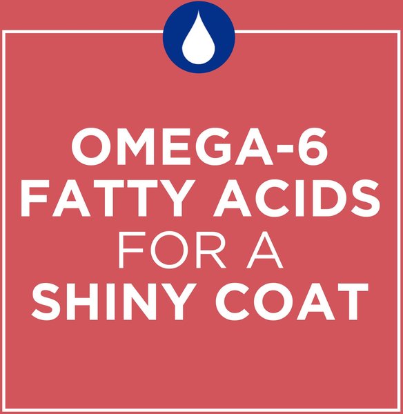 Show full view: Cat Chow Complete Real Salmon Dry Cat Food, 1.6-kg bag slide 5 of 9