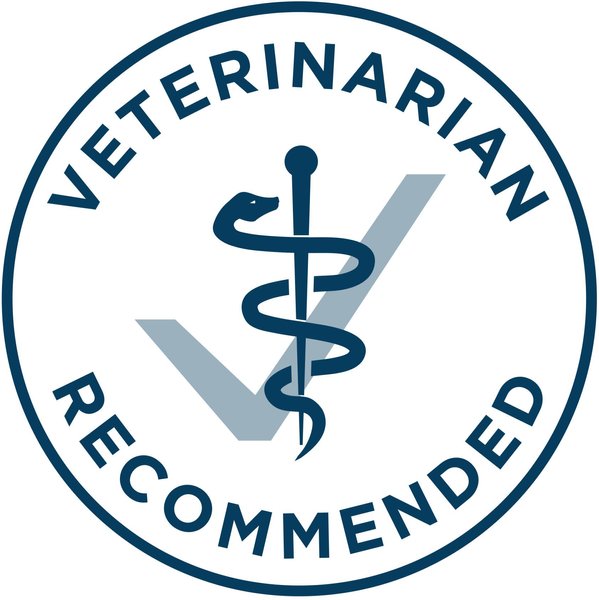 Show full view: Purina ONE +Plus Skin & Coat Salmon Dry Dog Food, 9.5-kg bag slide 6 of 9