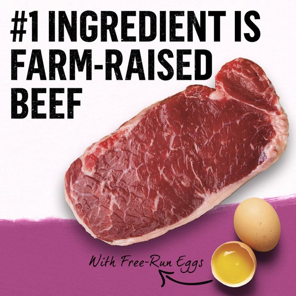 Show full view: Purina Beyond Simply Farm-Raised Beef, Barley & Free Run Egg Dry Dog Food, 9.5-kg bag slide 3 of 16