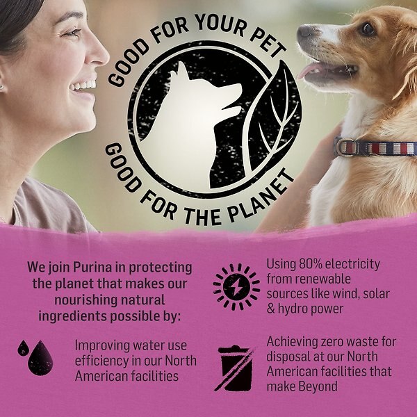 Show full view: Purina Beyond Simply Farm-Raised Beef, Barley & Free Run Egg Dry Dog Food, 9.5-kg bag slide 7 of 16