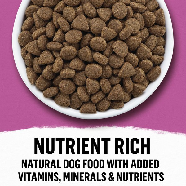 Show full view: Purina Beyond Simply Farm-Raised Beef, Barley & Free Run Egg Dry Dog Food, 9.5-kg bag slide 9 of 16