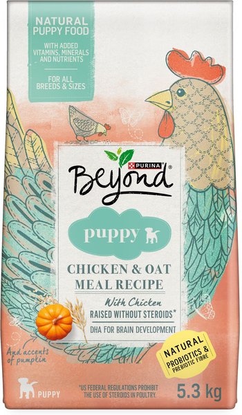 Purina beyond dog food best sale