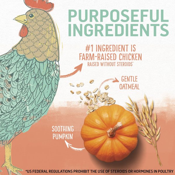 Show full view: Purina Beyond Puppy Chicken & Oat Meal Recipe Dry Dog Food, 5.3-kg bag slide 3 of 9