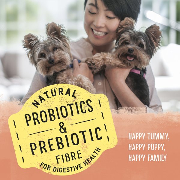 Show full view: Purina Beyond Puppy Chicken & Oat Meal Recipe Dry Dog Food, 5.3-kg bag slide 4 of 9