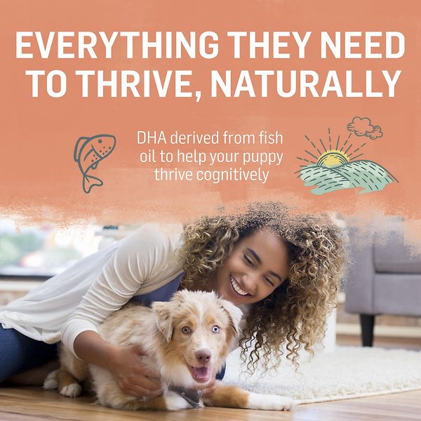 Show full view: Purina Beyond Puppy Chicken & Oat Meal Recipe Dry Dog Food, 5.3-kg bag slide 6 of 9