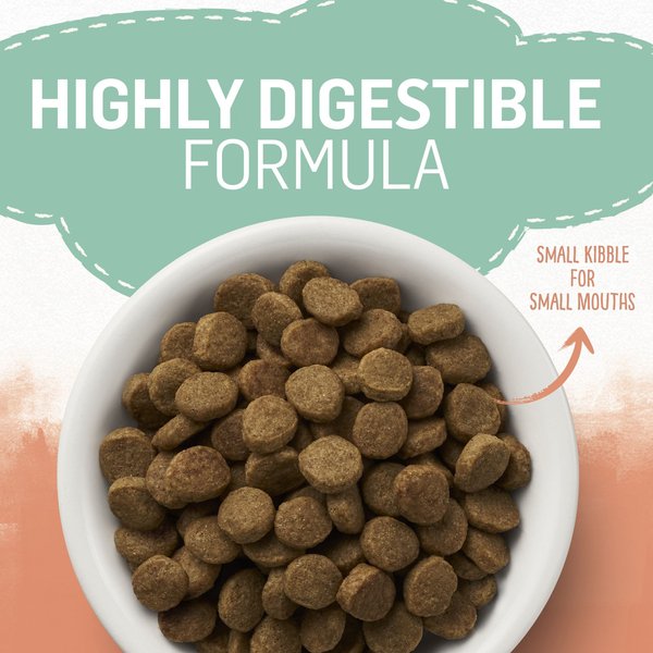 Show full view: Purina Beyond Puppy Chicken & Oat Meal Recipe Dry Dog Food, 5.3-kg bag slide 7 of 9