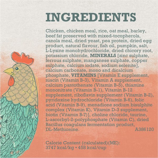 Show full view: Purina Beyond Puppy Chicken & Oat Meal Recipe Dry Dog Food, 5.3-kg bag slide 9 of 9