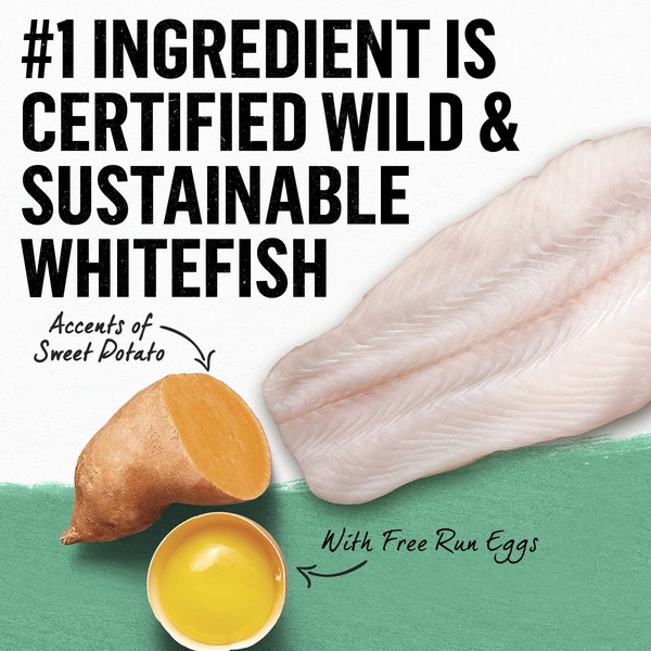 Show full view: Purina Beyond Grain-Free Wild-Caught Whitefish & Free Run Egg Recipe Dry Cat Food, 5-kg bag slide 3 of 9