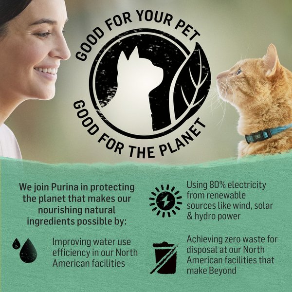 Show full view: Purina Beyond Grain-Free Wild-Caught Whitefish & Free Run Egg Recipe Dry Cat Food, 5-kg bag slide 5 of 9