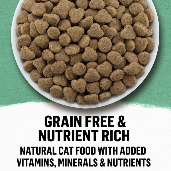 Show full view: Purina Beyond Grain-Free Wild-Caught Whitefish & Free Run Egg Recipe Dry Cat Food, 5-kg bag slide 6 of 9