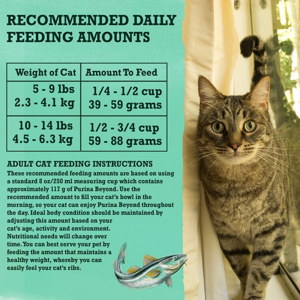 Show full view: Purina Beyond Grain-Free Wild-Caught Whitefish & Free Run Egg Recipe Dry Cat Food, 5-kg bag slide 7 of 9