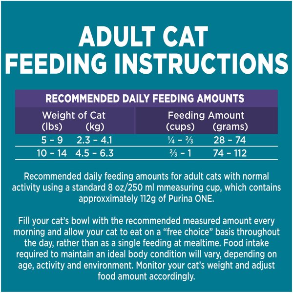 Show full view: Purina ONE +Plus Hairball Formula Chicken Dry Cat Food, 3-kg bag slide 8 of 10