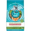 Show in main carousel: Purina ONE +Plus Indoor Advantage Salmon Dry Cat Food, 3-kg bag slide 1 of 9