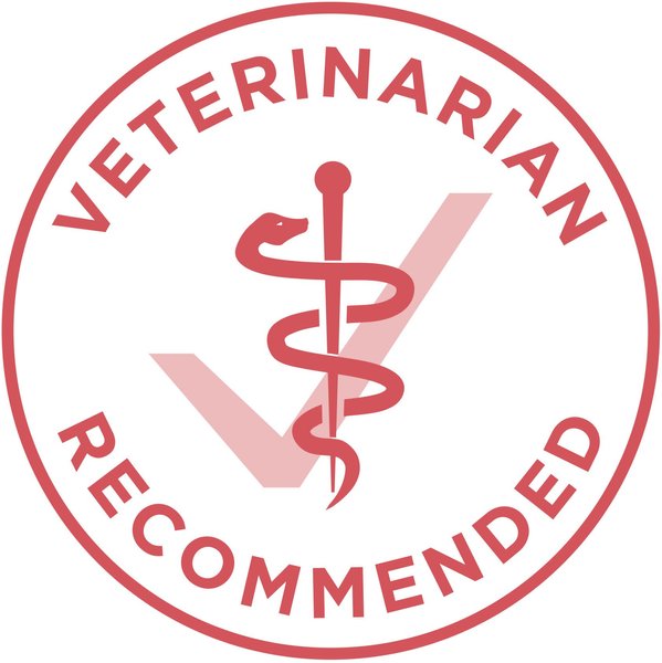 Show full view: Purina ONE +Plus Indoor Advantage Salmon Dry Cat Food, 3-kg bag slide 6 of 9