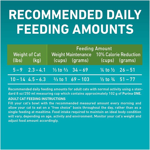 Show full view: Purina ONE +Plus Indoor Advantage Salmon Dry Cat Food, 3-kg bag slide 8 of 9