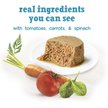 Show in main carousel: Purina Beneful Incredibites Real Chicken & Salmon Pate Variety Pack Wet Dog Food, 85-g can, case of 12 slide 7 of 9