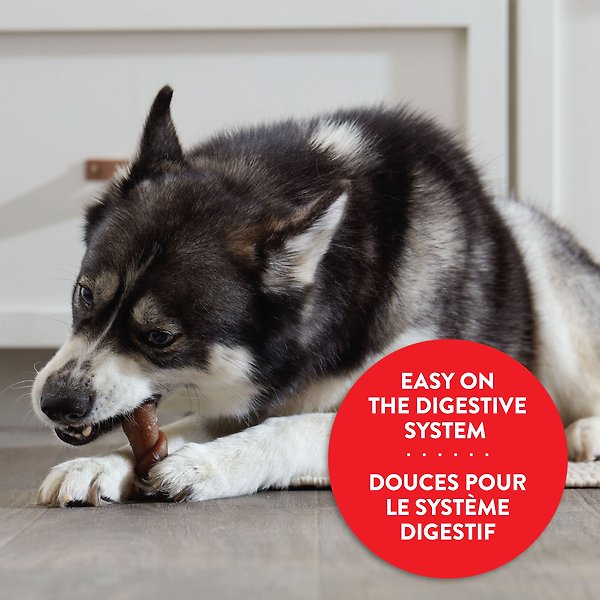 Show full view: Milk-Bone Comfort Chews Real Chicken Roll Dog Treats, 5 count slide 5 of 8