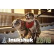 Show in main carousel: Inukshuk Professional Performance 26/16 Dry Dog Food, 15-kg bag slide 2 of 10