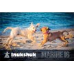 Show in main carousel: Inukshuk Performance Marine 26/16 Dog Dry Food, 15-kg bag slide 2 of 10