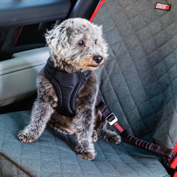 Show full view: KONG Travel Deluxe Swivel Tether Dog Safety Belt, Black & Red slide 3 of 6