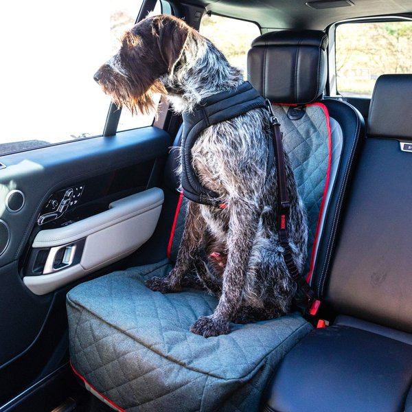 Show full view: KONG Travel Deluxe Swivel Tether Dog Safety Belt, Black & Red slide 5 of 6