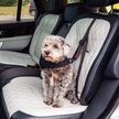 Show in main carousel: KONG Travel Ultimate Safety Tether Dog Seat Belt slide 2 of 10