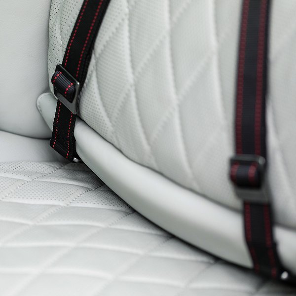 Show full view: KONG Travel Ultimate Safety Tether Dog Seat Belt slide 9 of 10