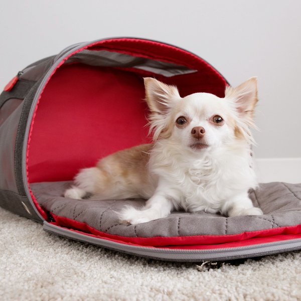 Show full view: KONG Travel 2-In-1 Airline-Approved Dog & Cat Carrier Bag & Travel Mat slide 3 of 10