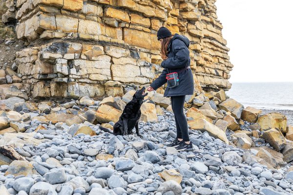 Show full view: KONG Travel Hiking Bag slide 3 of 6