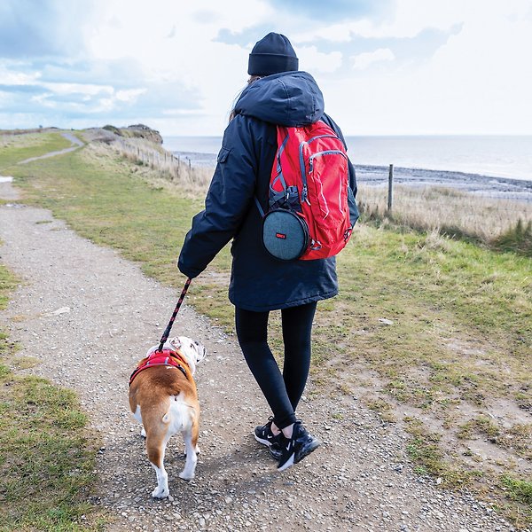 Show full view: KONG Travel Fold-Up Double Dog Bowl slide 5 of 6