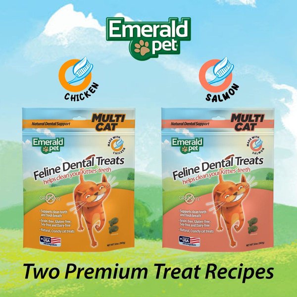 Show full view: Emerald Pet Feline Dental Salmon Grain-Free Cat Treats, 32-oz bag slide 6 of 10